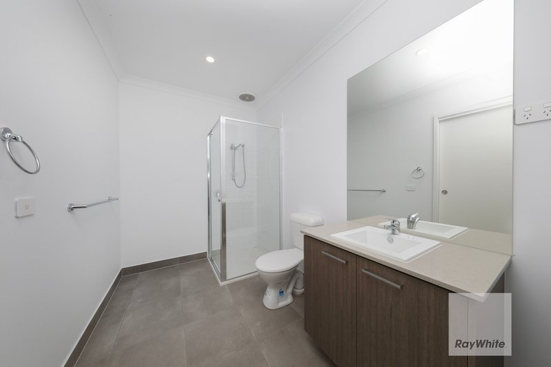 Photo - 38 Shingleback Walk, Mickleham VIC 3064 - Image 9