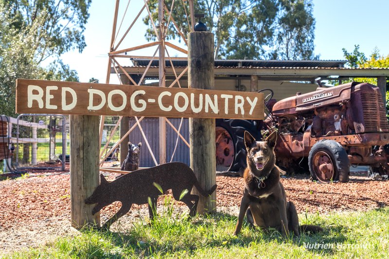 Photo - 38 St Andrews Court, Woodridge WA 6041 - Image 5