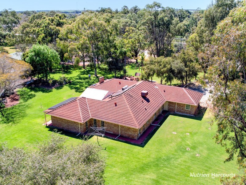 Photo - 38 St Andrews Court, Woodridge WA 6041 - Image 6