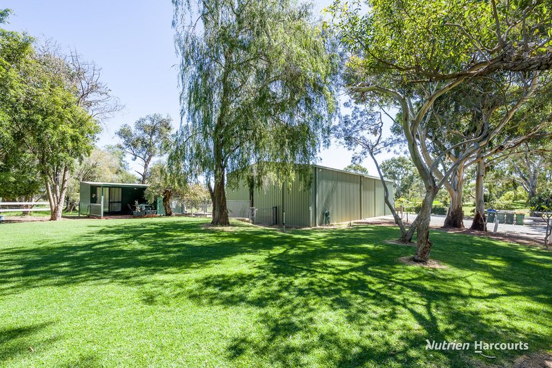 Photo - 38 St Andrews Court, Woodridge WA 6041 - Image 24