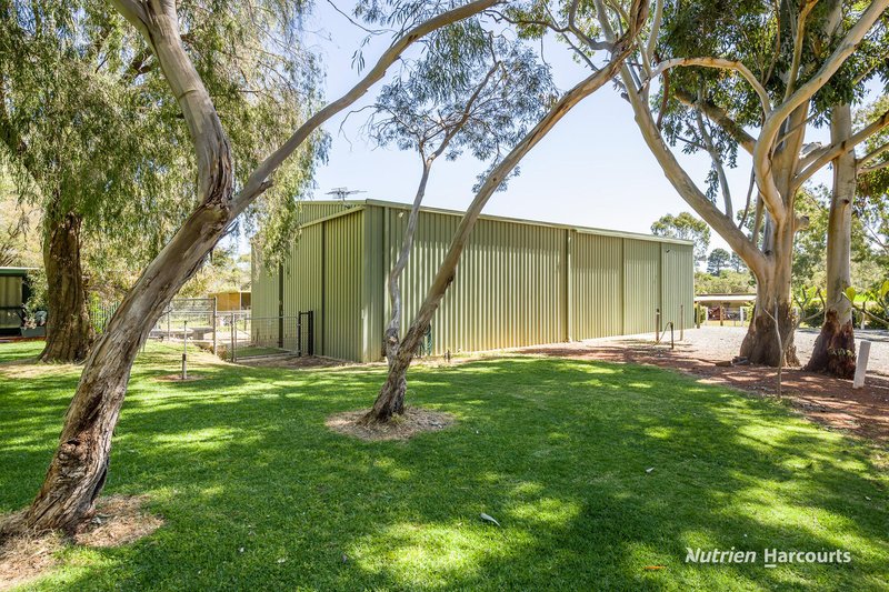 Photo - 38 St Andrews Court, Woodridge WA 6041 - Image 25