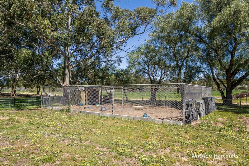 Photo - 38 St Andrews Court, Woodridge WA 6041 - Image 31