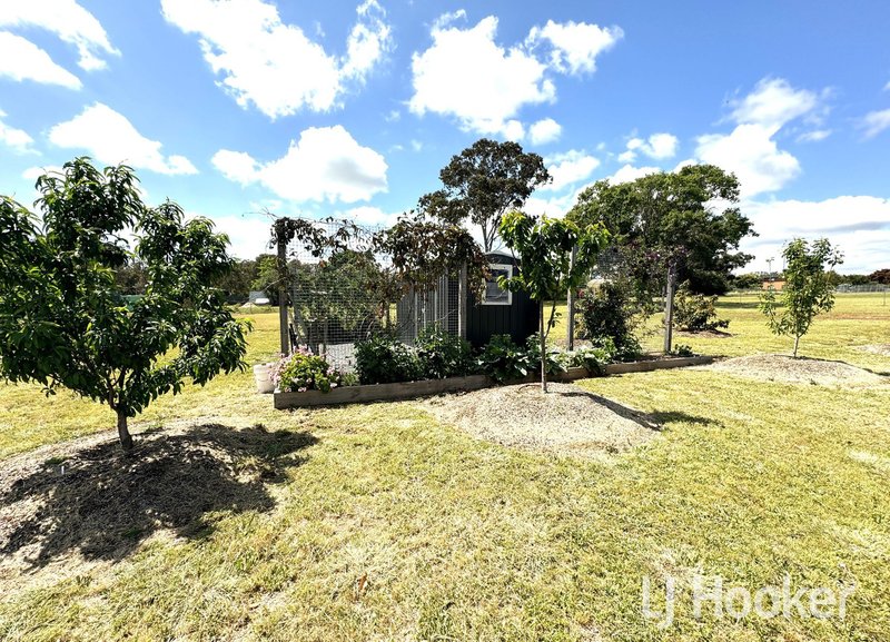 Photo - 38 Sylvan Drive, Inverell NSW 2360 - Image 21