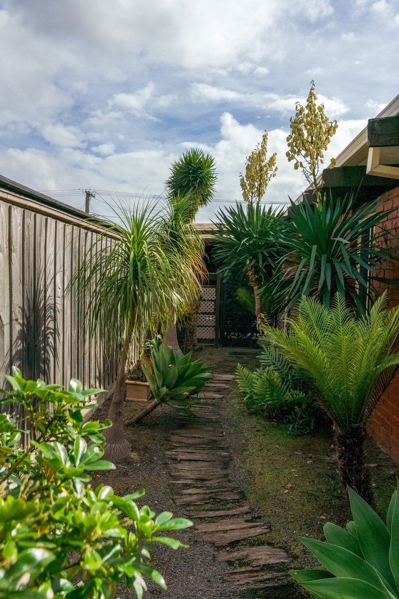 Photo - 38 Turner Road, Langwarrin VIC 3910 - Image 13