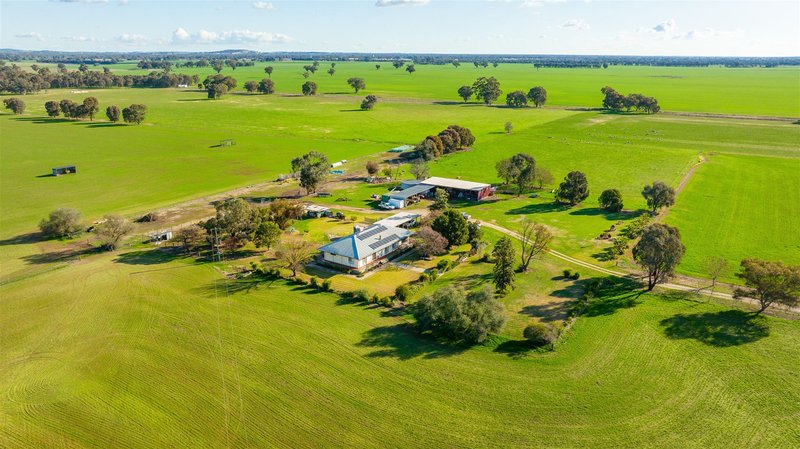 Photo - 38 Wellers Gap Road, Howlong NSW 2643 - Image 3