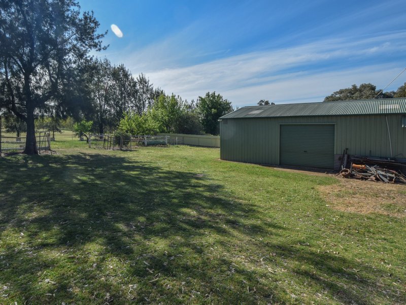 Photo - 38 Wickham Lane, Young NSW 2594 - Image 19