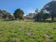 Photo - 38 Wickham Lane, Young NSW 2594 - Image 23