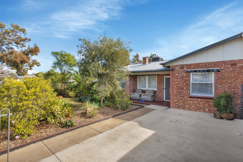 Photo - 38 Wilkins Road, Elizabeth Downs SA 5113 - Image 3