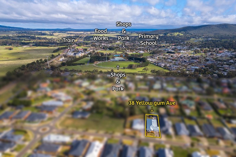 Photo - 38 Yellowgum Avenue, Riddells Creek VIC 3431 - Image 20