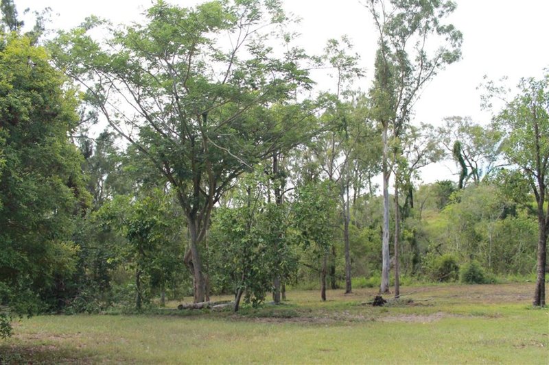 Photo - 380 Coorooman Creek Road, Cawarral QLD 4702 - Image 8