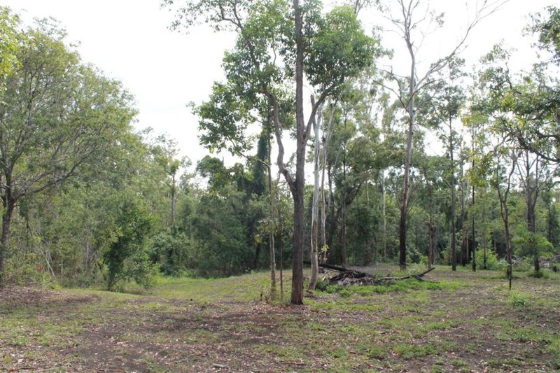 Photo - 380 Coorooman Creek Road, Cawarral QLD 4702 - Image 10