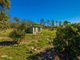 Photo - 380 Hermans Road, Gunalda QLD 4570 - Image 26