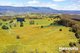 Photo - 380 Mersey Hill Road, Mole Creek TAS 7304 - Image 3