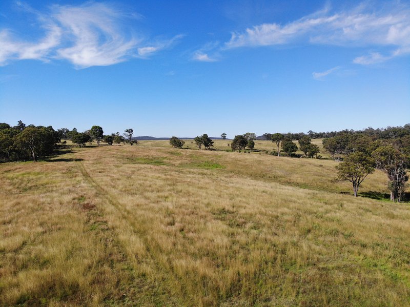 Photo - 380 Nandi Road, Canyonleigh NSW 2577 - Image 10