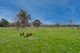 Photo - 380 O'Connors Road, Mangalore VIC 3663 - Image 19