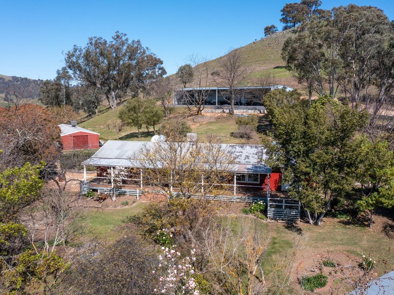 Photo - 380 Omeo Highway, Tallangatta VIC 3700 - Image 20