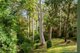Photo - 381 Coal Point Road, Coal Point NSW 2283 - Image 21