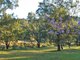 Photo - 381 Norwood Lane, Taree NSW 2430 - Image 16