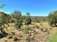 Photo - 381 Parker Road, Ellesmere QLD 4610 - Image 21