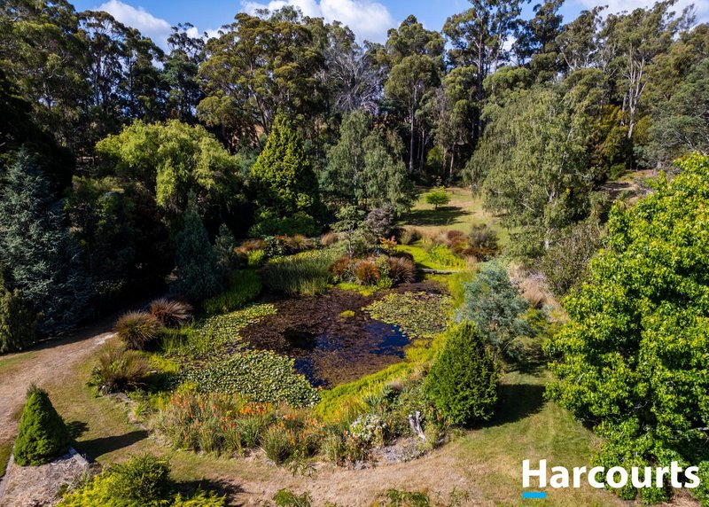 Photo - 3816 West Tamar Highway, Beaconsfield TAS 7270 - Image 3