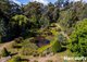 Photo - 3816 West Tamar Highway, Beaconsfield TAS 7270 - Image 3