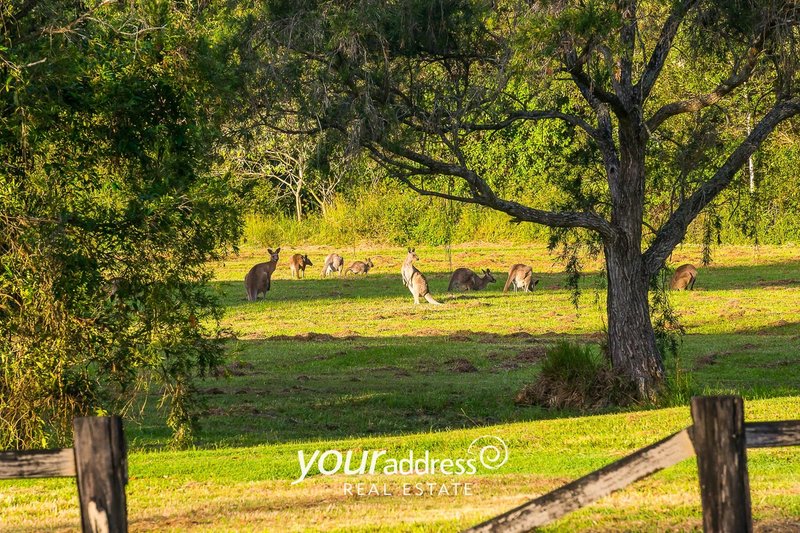 Photo - 382-384 Spring Mountain Drive, Greenbank QLD 4124 - Image 22