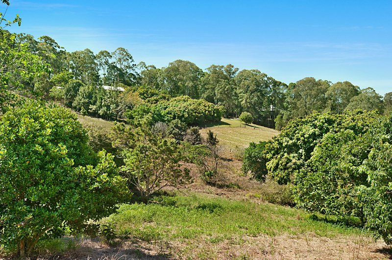 Photo - 382 Cootharaba Road, Cootharaba QLD 4565 - Image 13