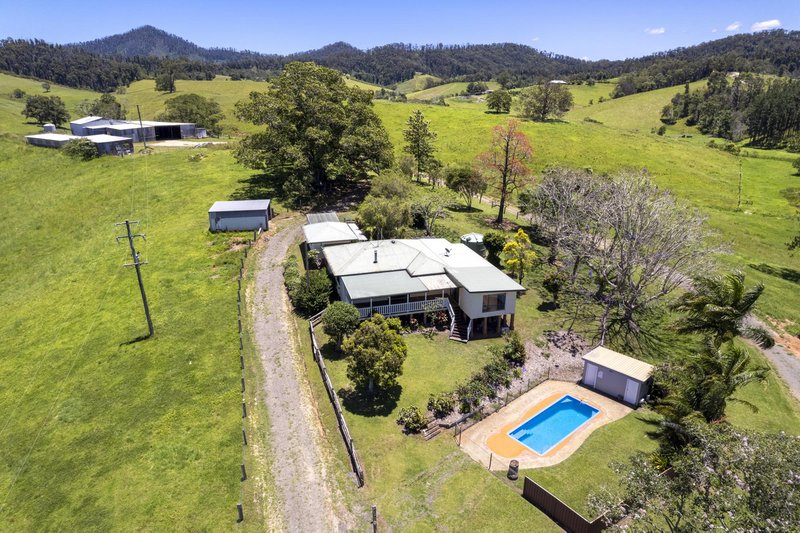 Photo - 382 Welshs Creek Road, Talarm NSW 2447 - Image 12