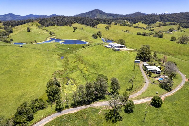 Photo - 382 Welshs Creek Road, Talarm NSW 2447 - Image 13