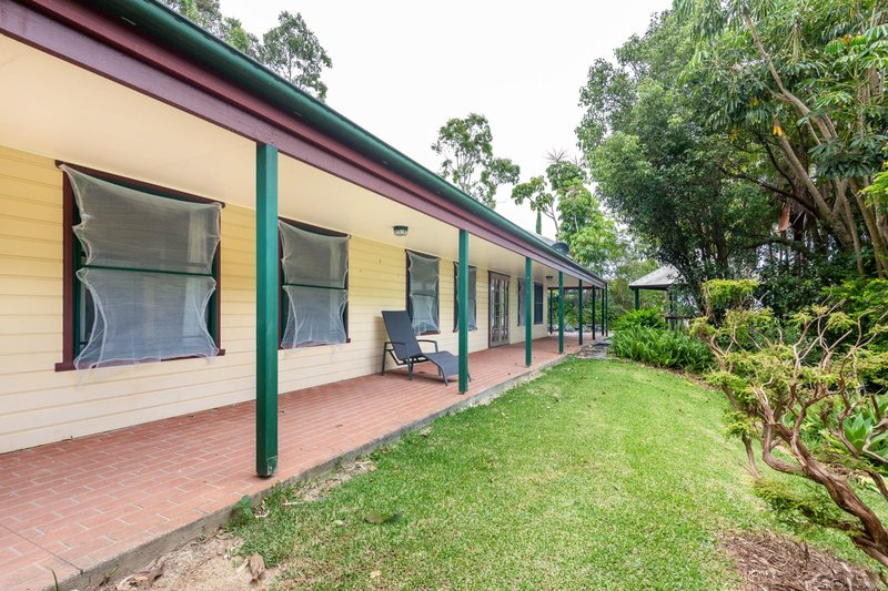 Photo - 383 Old Coast Road, Korora NSW 2450 - Image 16