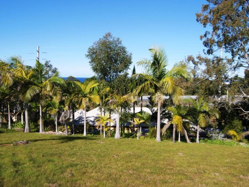 Photo - 383 Old Coast Road, Korora NSW 2450 - Image 3