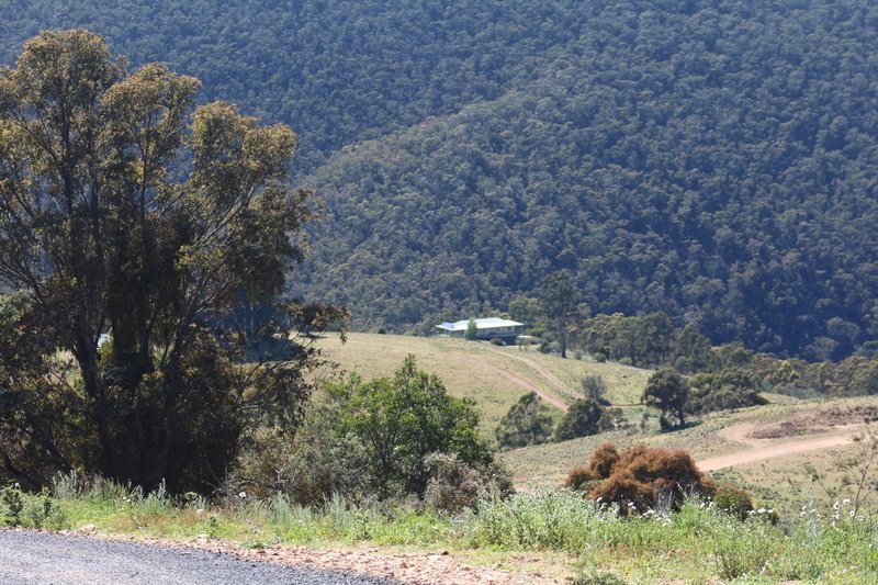 383 Sheepstation Forest Road, Gingkin NSW 2787