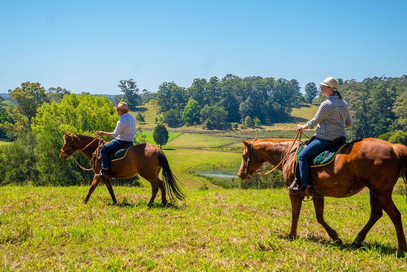 383 Waterfall Way, Bellingen NSW 2454