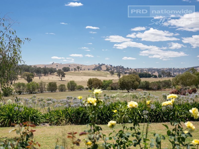 Photo - 384 Morgans Reserve Road, Tumut NSW 2720 - Image 14