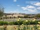 Photo - 384 Morgans Reserve Road, Tumut NSW 2720 - Image 14