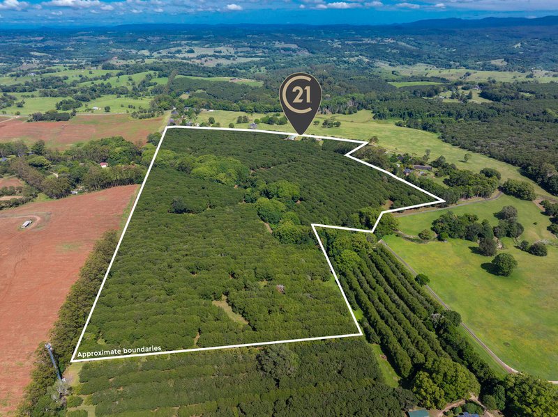 Photo - 385 Goremans Road, Eureka NSW 2480 - Image 21