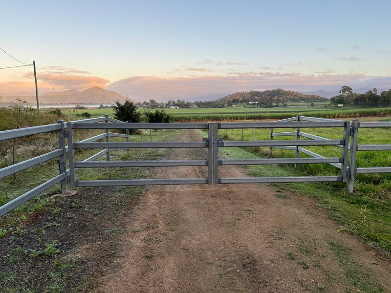 Photo - 3853 Mackay Eungella Road, Gargett QLD 4741 - Image 10