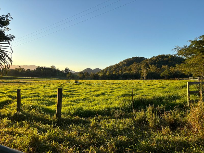 Photo - 3853 Mackay Eungella Road, Gargett QLD 4741 - Image 13