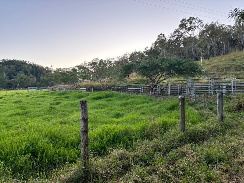 Photo - 3853 Mackay Eungella Road, Gargett QLD 4741 - Image 19