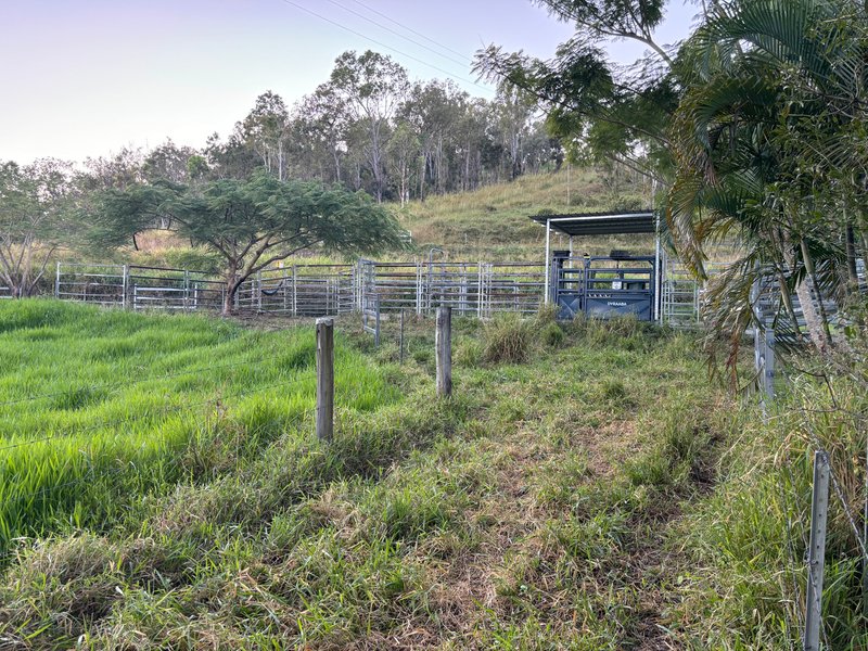 Photo - 3853 Mackay Eungella Road, Gargett QLD 4741 - Image 20