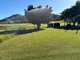 Photo - 3853 Mackay Eungella Road, Gargett QLD 4741 - Image 23