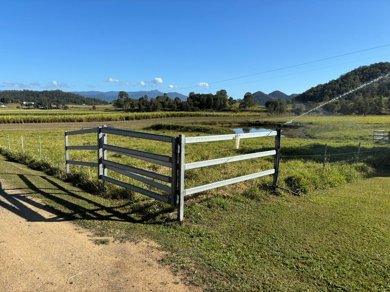 Photo - 3853 Mackay Eungella Road, Gargett QLD 4741 - Image 24