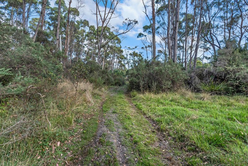 Photo - 38567 Tasman Highway, Nunamara TAS 7259 - Image 20