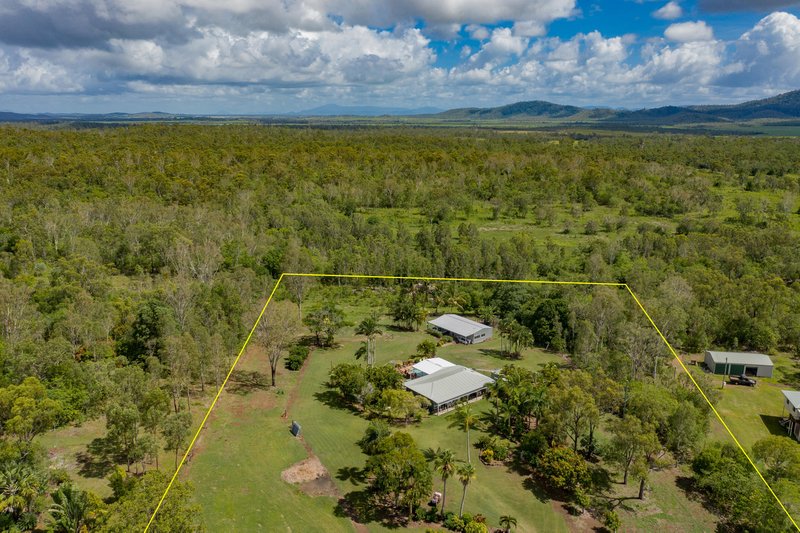 Photo - 387 Midge Point Road, Bloomsbury QLD 4799 - Image 17