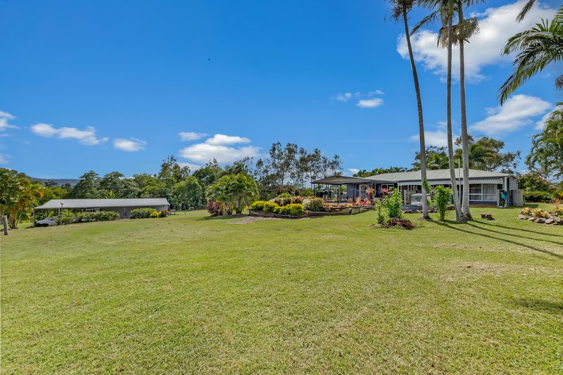 Photo - 387 Midge Point Road, Bloomsbury QLD 4799 - Image 23