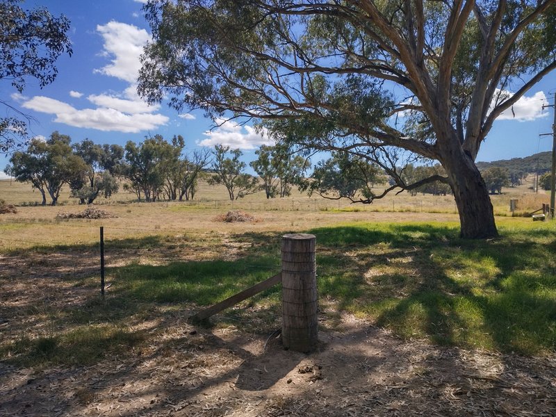 Photo - 387 Molkentin Road, Jindera NSW 2642 - Image 6