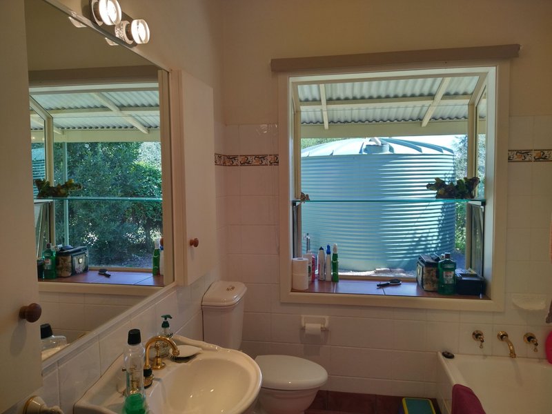 Photo - 387 Molkentin Road, Jindera NSW 2642 - Image 10