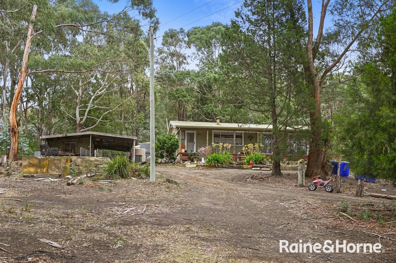 Photo - 387 Sand River Road, Buckland TAS 7190 - Image 17