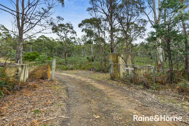 Photo - 387 Sand River Road, Buckland TAS 7190 - Image 21