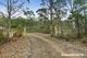 Photo - 387 Sand River Road, Buckland TAS 7190 - Image 21